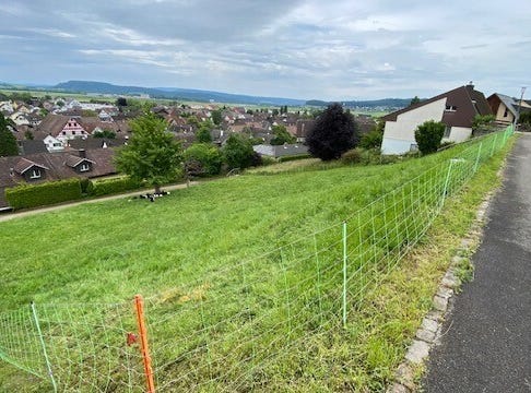 Götzen, Rafz, Zürich (canton) 8197