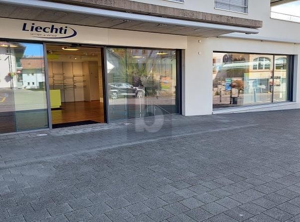Ins, Bern (canton) 3232
