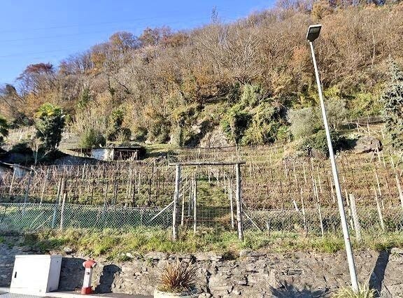 Sementina, Ticino 6514