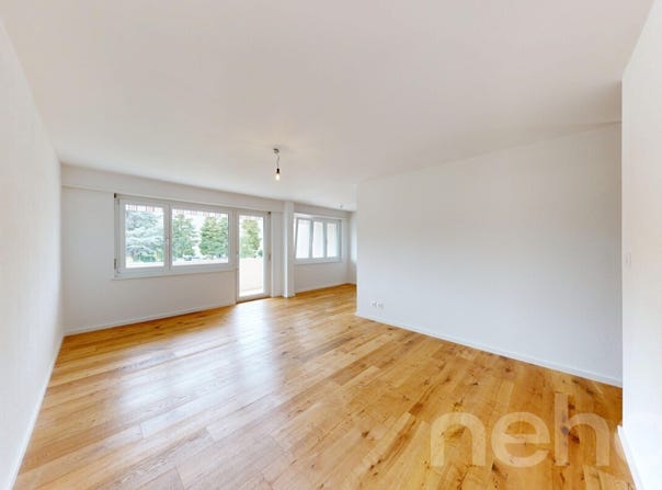 Dübendorf, Dübendorf, Zürich (canton) 8600