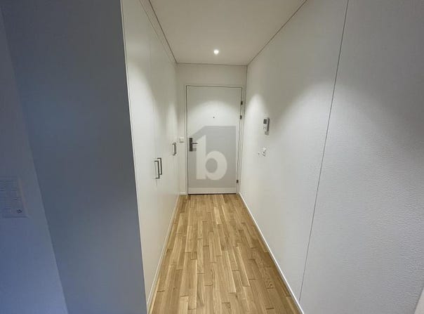 Wetzikon ZH, Zürich (canton) 8620