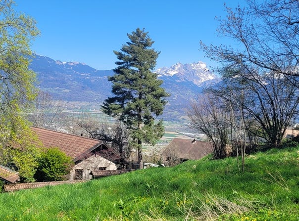 Choëx, Monthey, Valais 1871