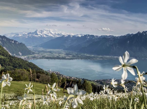 Territet, Vaud 1820