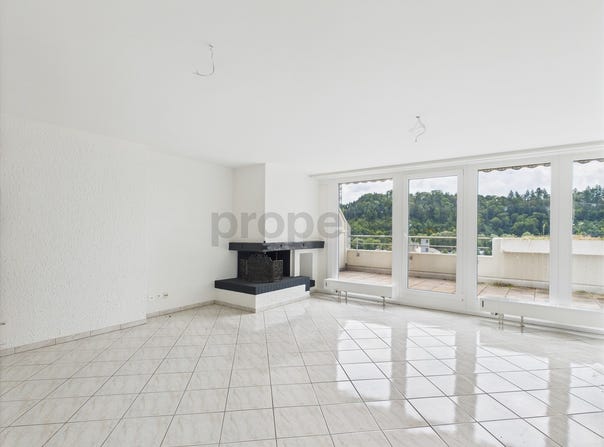 Zwingen, Basel-Landschaft (canton) 4222