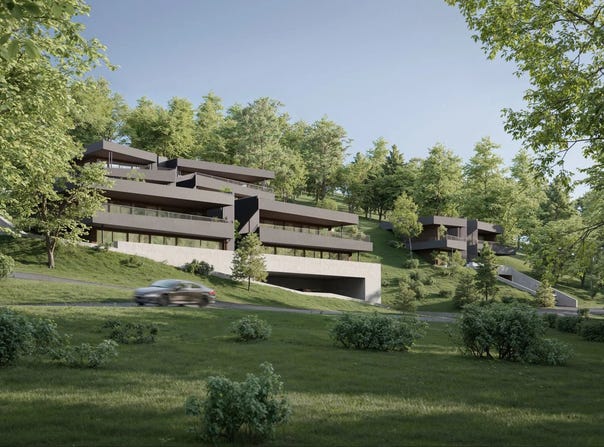 Savièse, Valais 1965