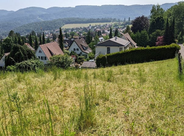 Bergmattenweg, Pfeffingen, Basel-Landschaft (canton) 4148