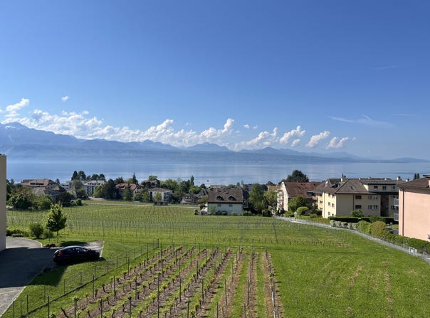 Pully, Vaud 1009