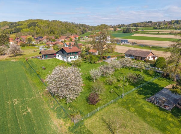 Ogens, Vaud 1045