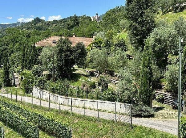 Purasca, Purasca, Ticino 6989