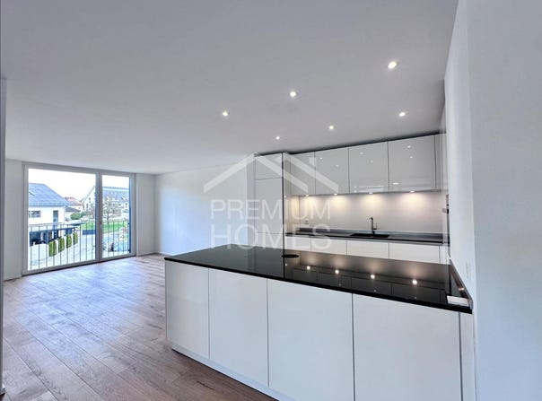 Etziken, Solothurn (canton) 4554