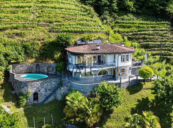 - Gordola Collina -, Gordola, Ticino 6596