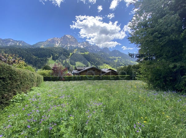Centre du village de Rougemont, Rougemont, Vaud 1659