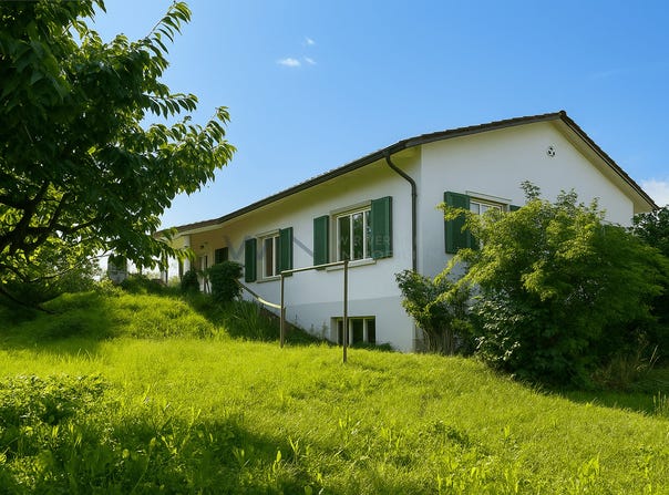 Frauenfeld, Thurgau 8500