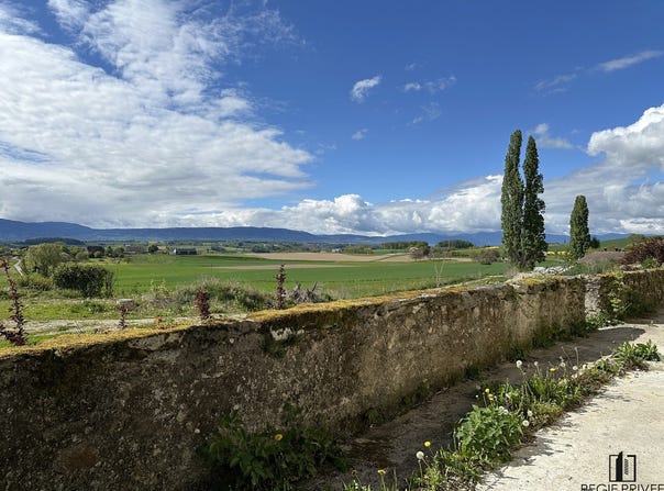 Mex VD, Vaud 1031