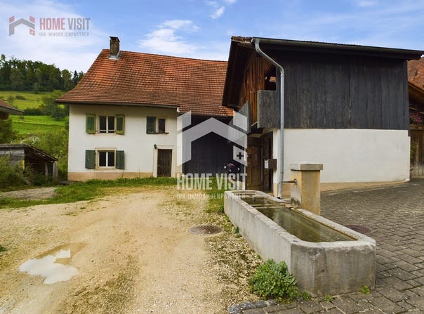 Dorf, Dittingen, Basel-Landschaft (canton) 4243