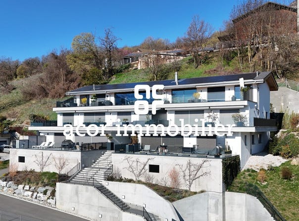 Drône, Savièse, Valais 1965