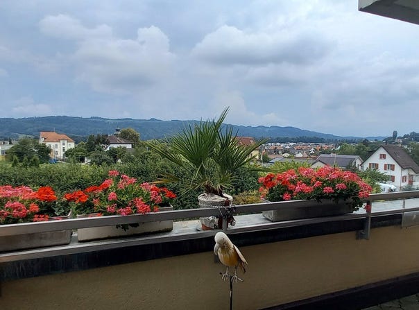 Würenlos, Aargau 5436