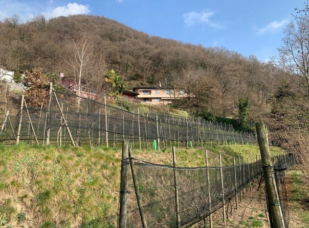 Zona Buee, Morbio Superiore, Ticino 6835