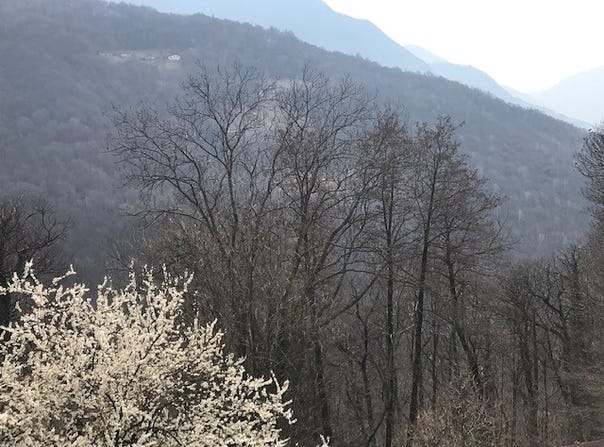 Roveredo TI, Ticino 6957