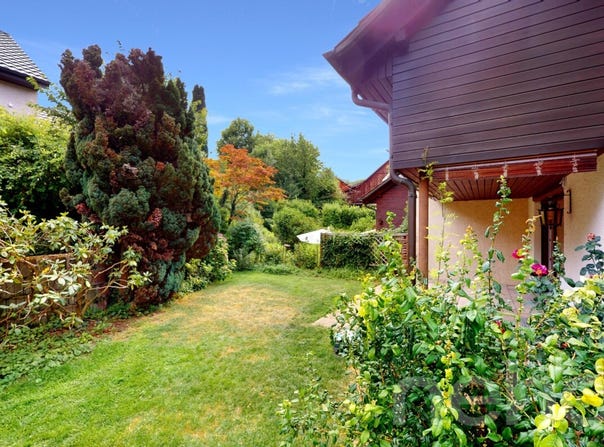 Dielsdorf, Dielsdorf, Zürich (canton) 8157