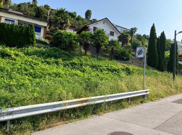 Termine, Termine, Ticino 6998