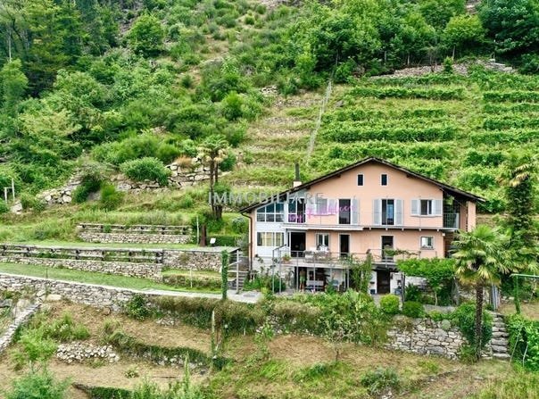 Gudo, Ticino 6515
