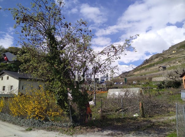 Rue du Puits-du-Géant, Sion, Valais 1950