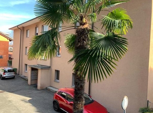 Muralto, Ticino 6600