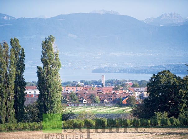Rue de lAbbaye, Gland, Vaud 1196