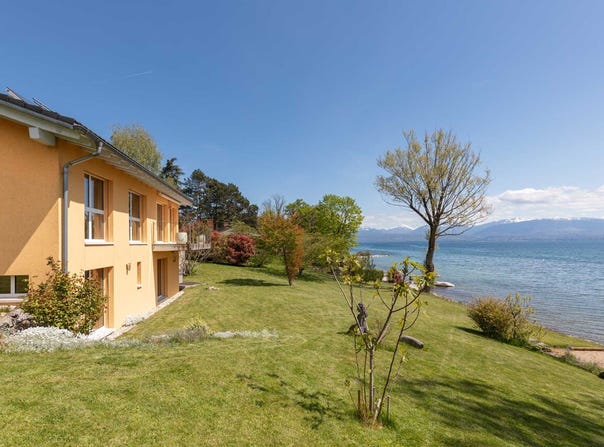 Perroy - pied dans leau, Perroy, Vaud 1166