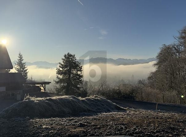 Wald ZH, Zürich (canton) 8636