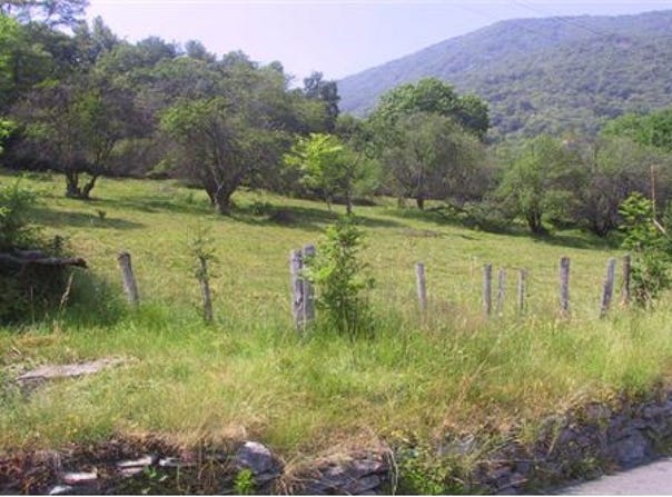 Sessa, Ticino 6997