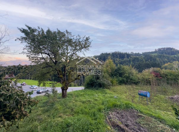 Berneck, St. Gallen (canton) 9442