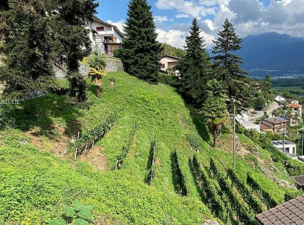 Cugnasco, Ticino 6516