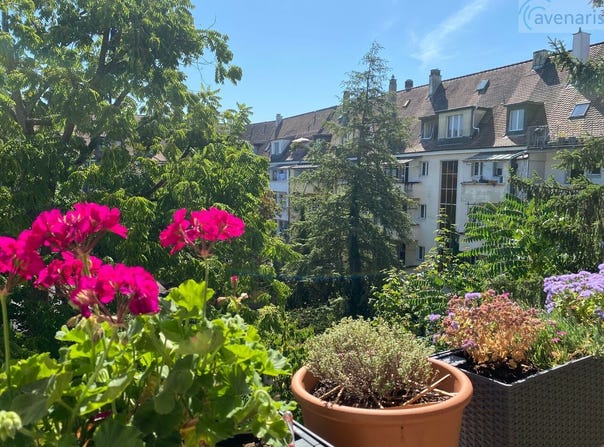 Eggfluhstrasse 15, Basel, Basel-Stadt (canton) 4054