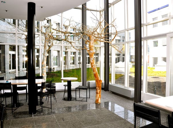 Bionstrasse 5, St. Gallen, St. Gallen (canton) 9015