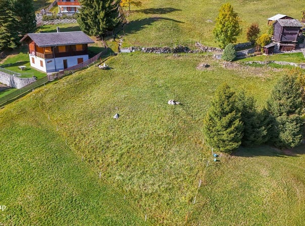 Blatten b. Naters, Valais 3914