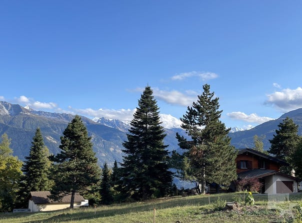Bluche, Bluche-Randogne, Valais 3975