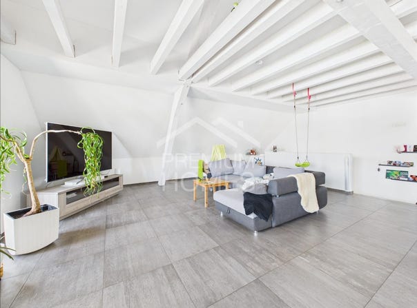 Kyburg-Buchegg, Solothurn (canton) 4586
