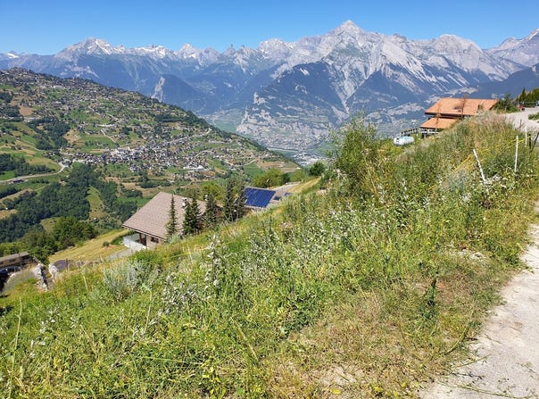 Le Fio, Haute-Nendaz, Valais 1997