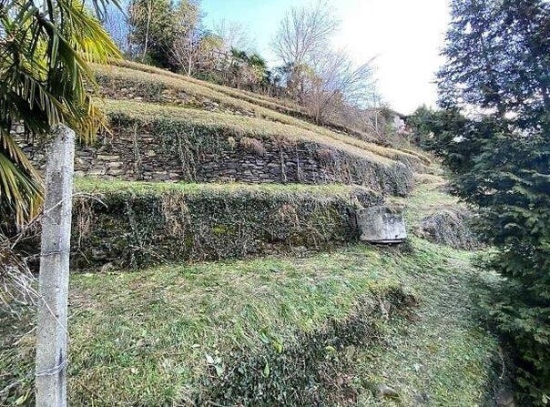 Bellinzona, Ticino 6500