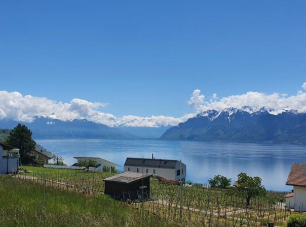 Grandvaux, Grandvaux, Vaud 1091