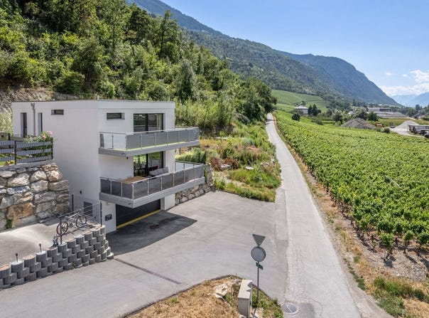 Ouest du village, Réchy, Valais 3966