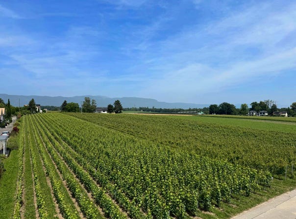 Chemin des Racettes 7a, Founex, Vaud 1297