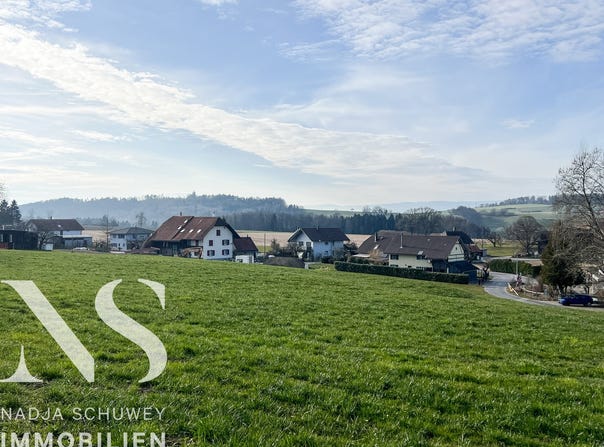 Kleinguschelmuth, Guschelmuth, Fribourg (canton) 1792