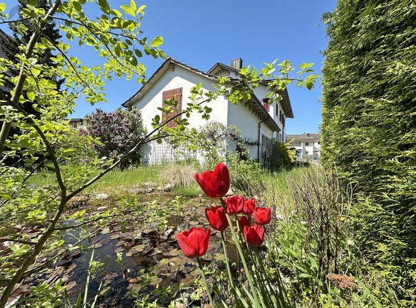 Dorfstrasse, Pfaffnau, Lucerne (canton) 6264