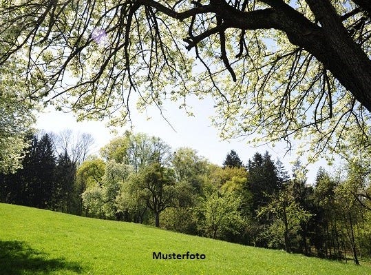 Prés de lEssert, Bonfol, Jura 2944