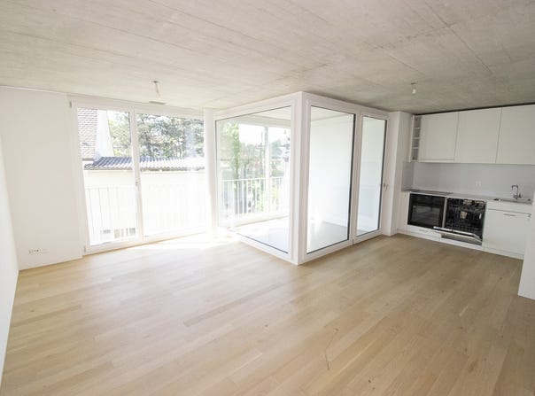 Burggartenstrasse, 10, Pratteln, Basel-Landschaft (canton) 4133