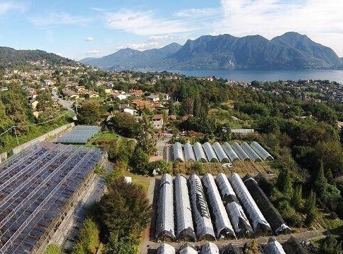 Brissago, Ticino 6614
