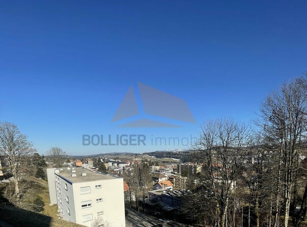 Rue du Point-du-Jour 11, La Chaux-de-Fonds, Neuchâtel (canton) 2300